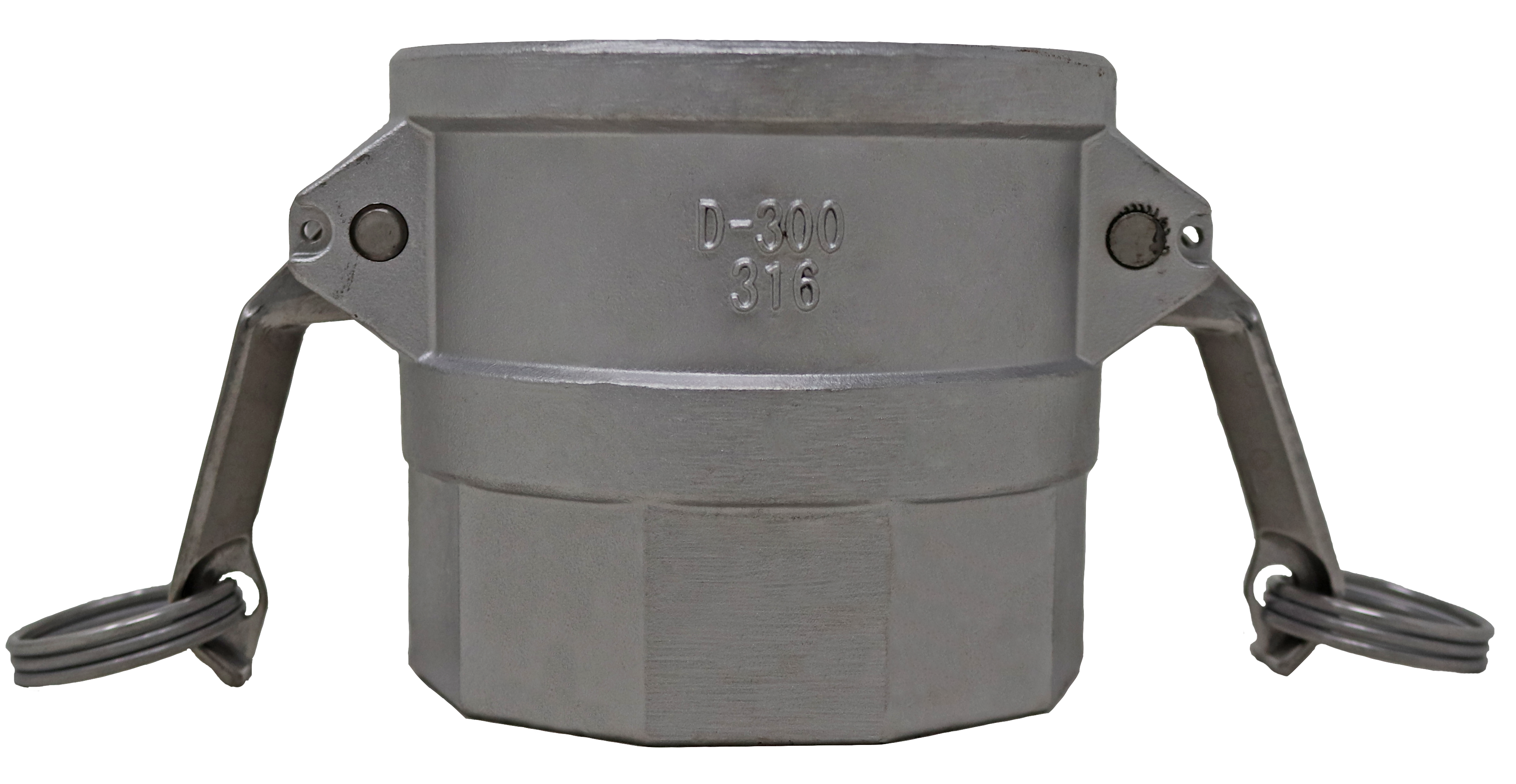 PT Coupling CF1400460 Coupler, 6 in Type D x 6 in FNPT, Stainless Steel
